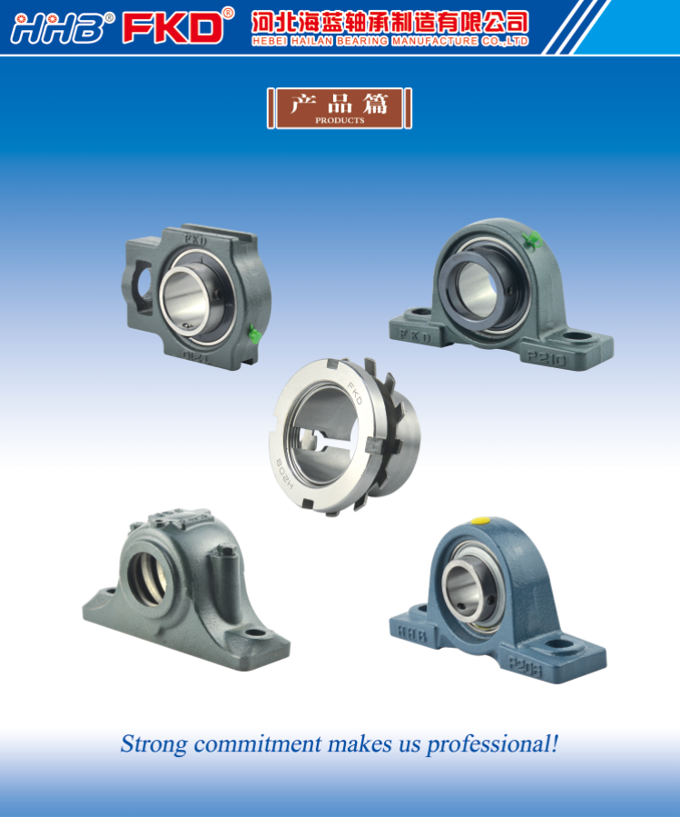 Hebei Hailan Bearing Manufacture Co.,Ltd